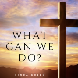 New Radio Release From Linda Boles "What Can We Do?" 