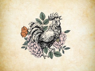 blog image
